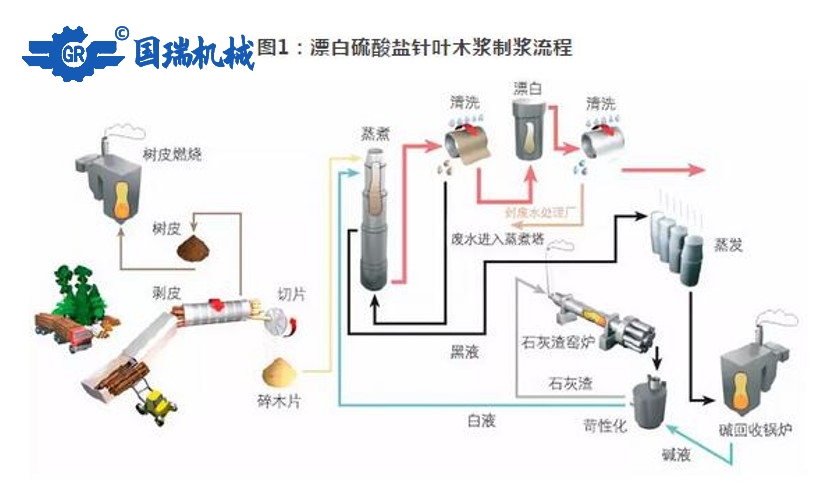 國瑞機(jī)械：紙漿的生產(chǎn)流程和應(yīng)用